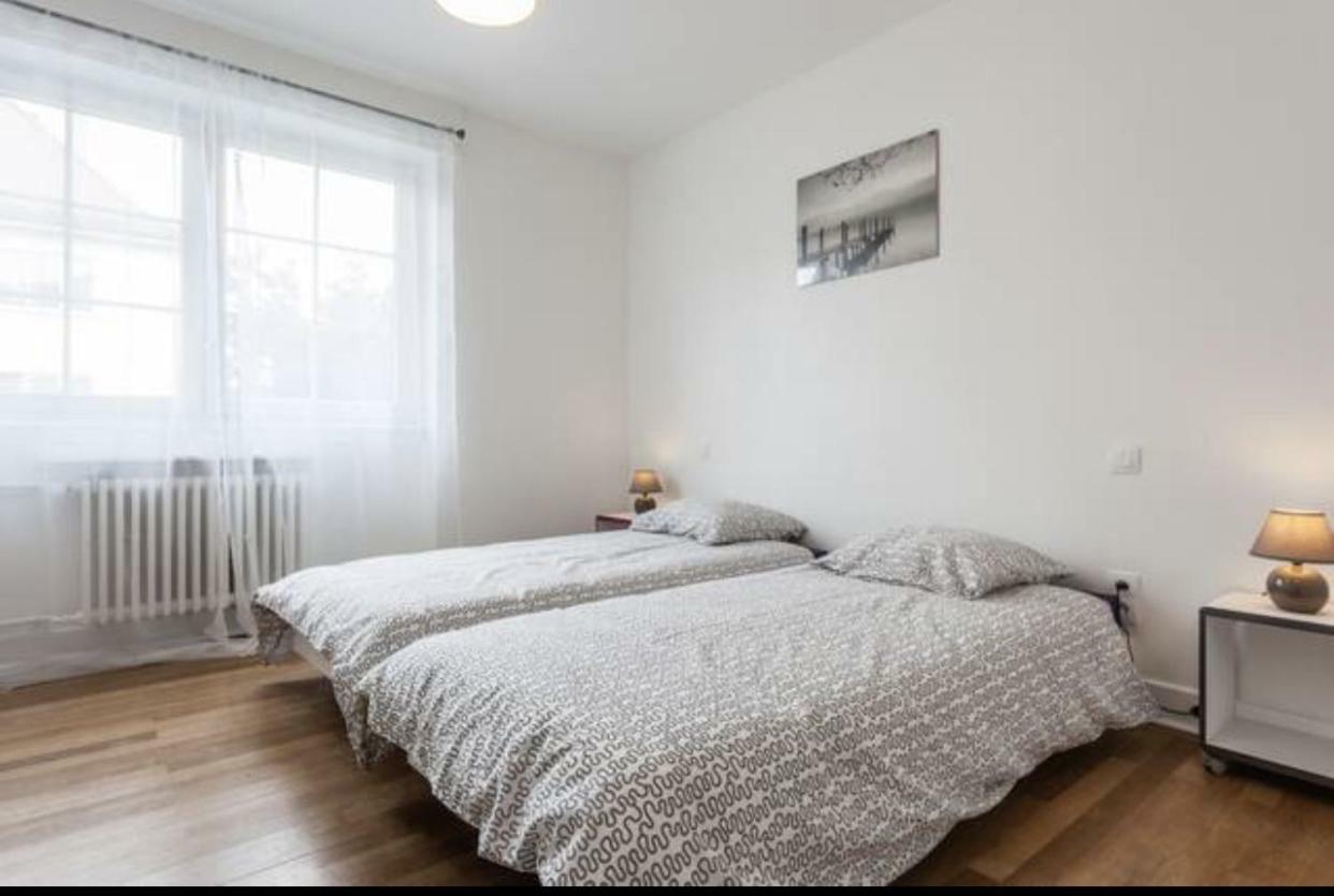 Charmant Appartement Avec Terrasse Dans Villa Strasbourg Eksteriør bilde