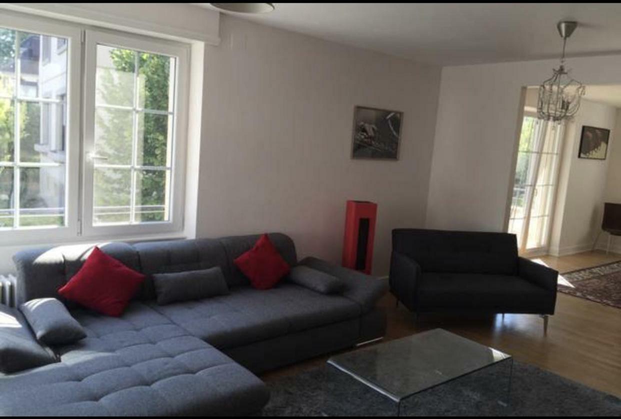 Charmant Appartement Avec Terrasse Dans Villa Strasbourg Eksteriør bilde